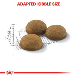 Royal Canin Indoor Long Hair - Dry Food for Indoor long-haired cats