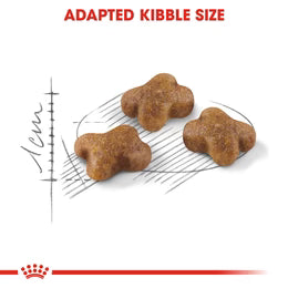 Royal Canin Kitten - Up to 12 months