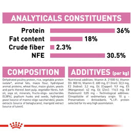 Royal Canin Kitten - Up to 12 months