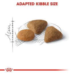 Royal Canin Exigent Savour Fussy Cats - Savour Discerning