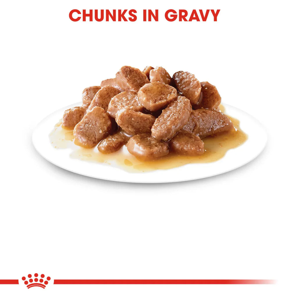 ROYAL CANIN¨ Instinctive 7+ in Gravy (85 gm\ Pouch) - Wet food for cats over 7 years old