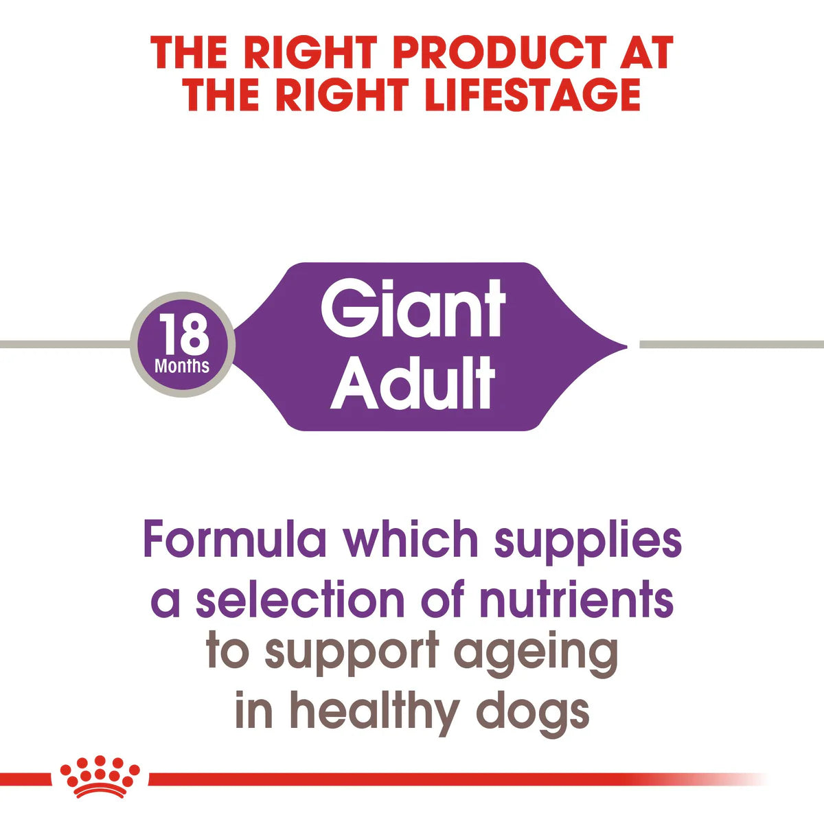 Royal Canin Giant Adult - Dry food for giant active dogs. Adult weight from 45 kg and over - over 18\24 months