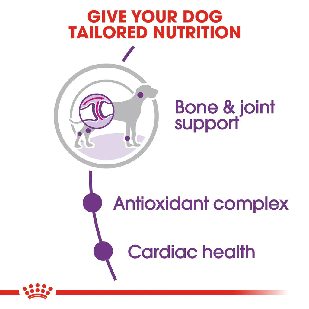 Royal Canin Giant Adult - Dry food for giant active dogs. Adult weight from 45 kg and over - over 18\24 months