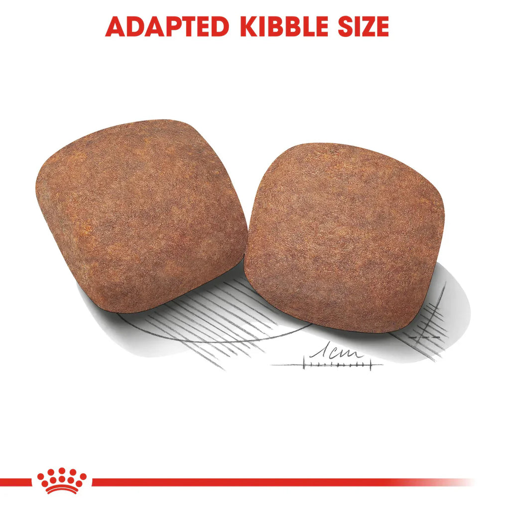 Royal Canin Giant Adult - Dry food for giant active dogs. Adult weight from 45 kg and over - over 18\24 months