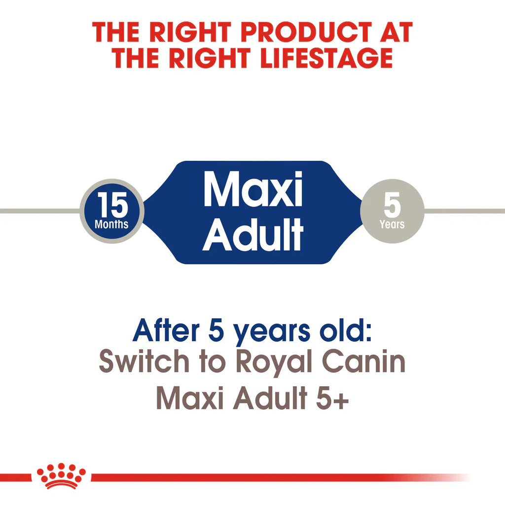Royal Canin Maxi Adult - Dry food for large dogs from 26 to 44 KG. From 15 months to 5 years old