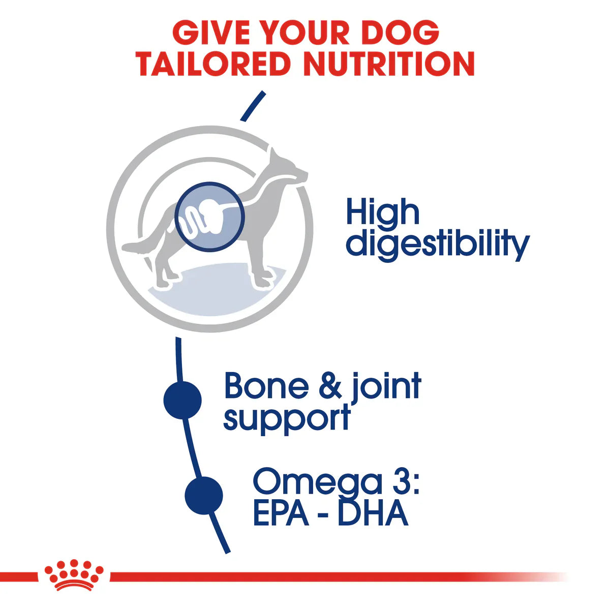 Royal Canin Maxi Adult - Dry food for large dogs from 26 to 44 KG. From 15 months to 5 years old