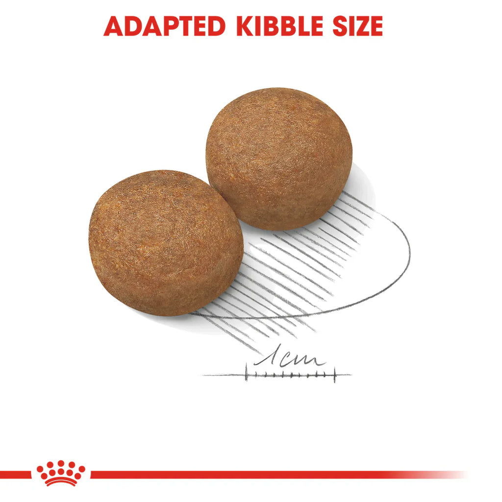Royal Canin Maxi Adult - Dry food for large dogs from 26 to 44 KG. From 15 months to 5 years old