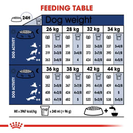 Royal Canin Maxi Adult - Dry food for large dogs from 26 to 44 KG. From 15 months to 5 years old