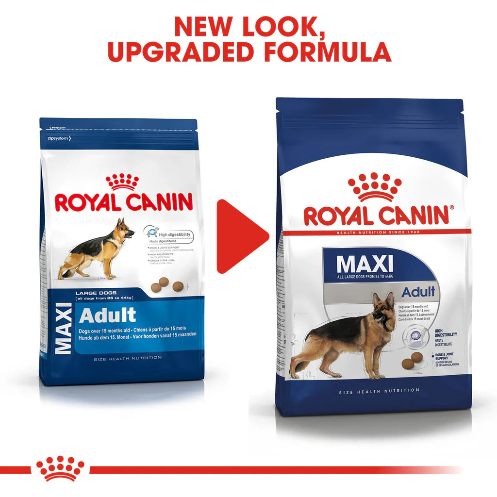 Royal Canin Maxi Adult - Dry food for large dogs from 26 to 44 KG. From 15 months to 5 years old