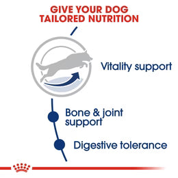 Royal Canin Maxi Adult 5+ (15 KG) - Dry food for large dogs from 26 to 44 KG. from 5 to 8 years old