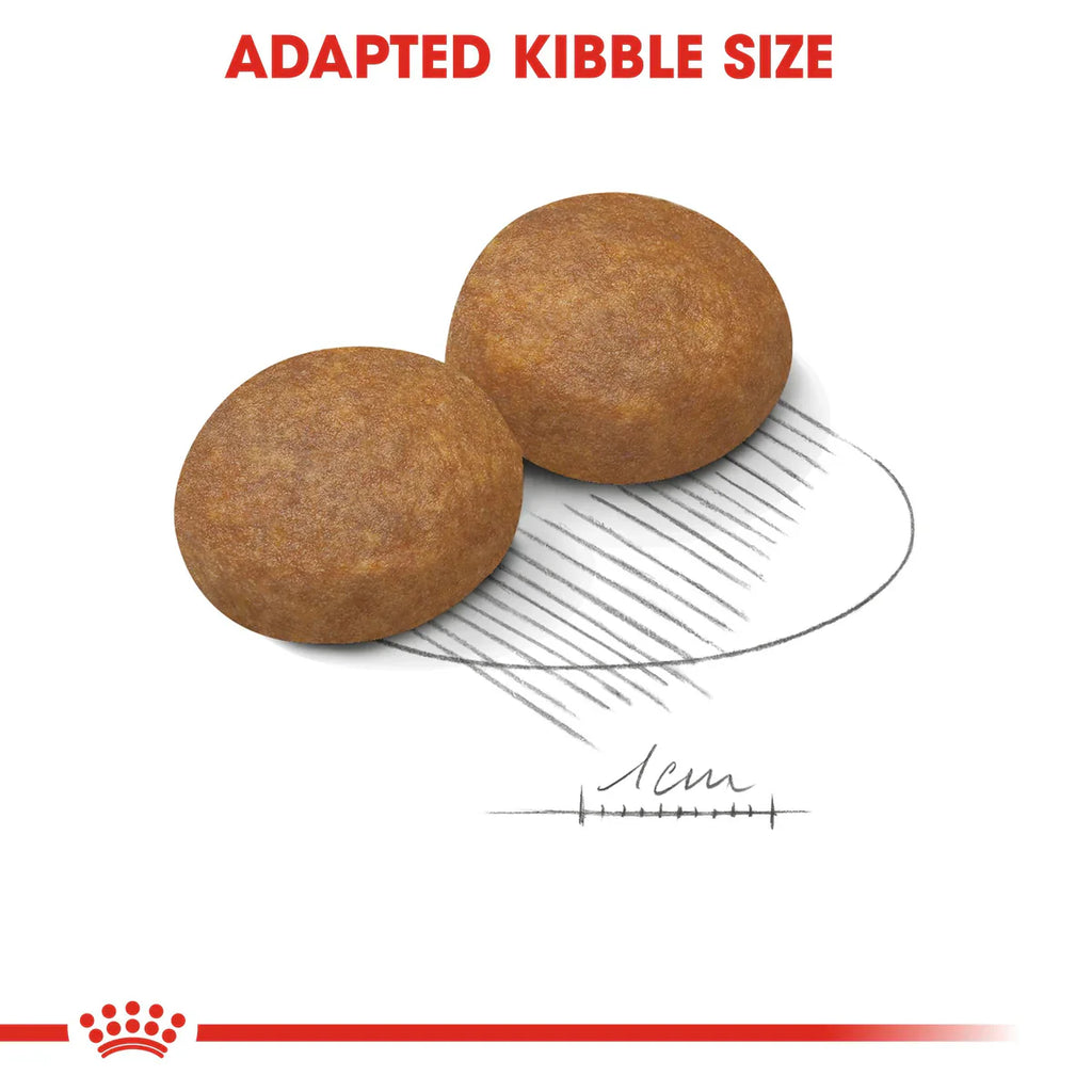 Royal Canin Maxi Adult 5+ (15 KG) - Dry food for large dogs from 26 to 44 KG. from 5 to 8 years old