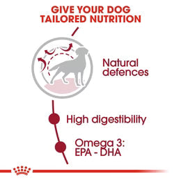 Royal Canin Medium Adult - Dry food for medium dogs from 11 to 25 KG. From 12 months to 7 years