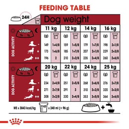 Royal Canin Medium Adult - Dry food for medium dogs from 11 to 25 KG. From 12 months to 7 years
