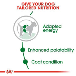 Royal Canin Mini Adult - Dry food for small dogs up to 10 KG - form 10 months to 8 years