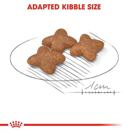 Royal Canin Mini Adult - Dry food for small dogs up to 10 KG - form 10 months to 8 years