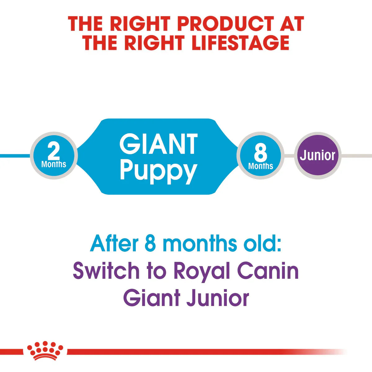 Royal Canin Giant Puppy - Dry food for giant dogs. Adult weight from 45 KG and over - from 2 to 8 months old