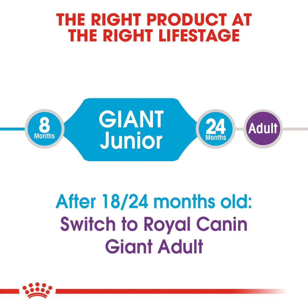 Royal Canin Giant Junior - Dry food for giant dogs - Adults weight from 45 KG and over - from 8 months to 18\24 months