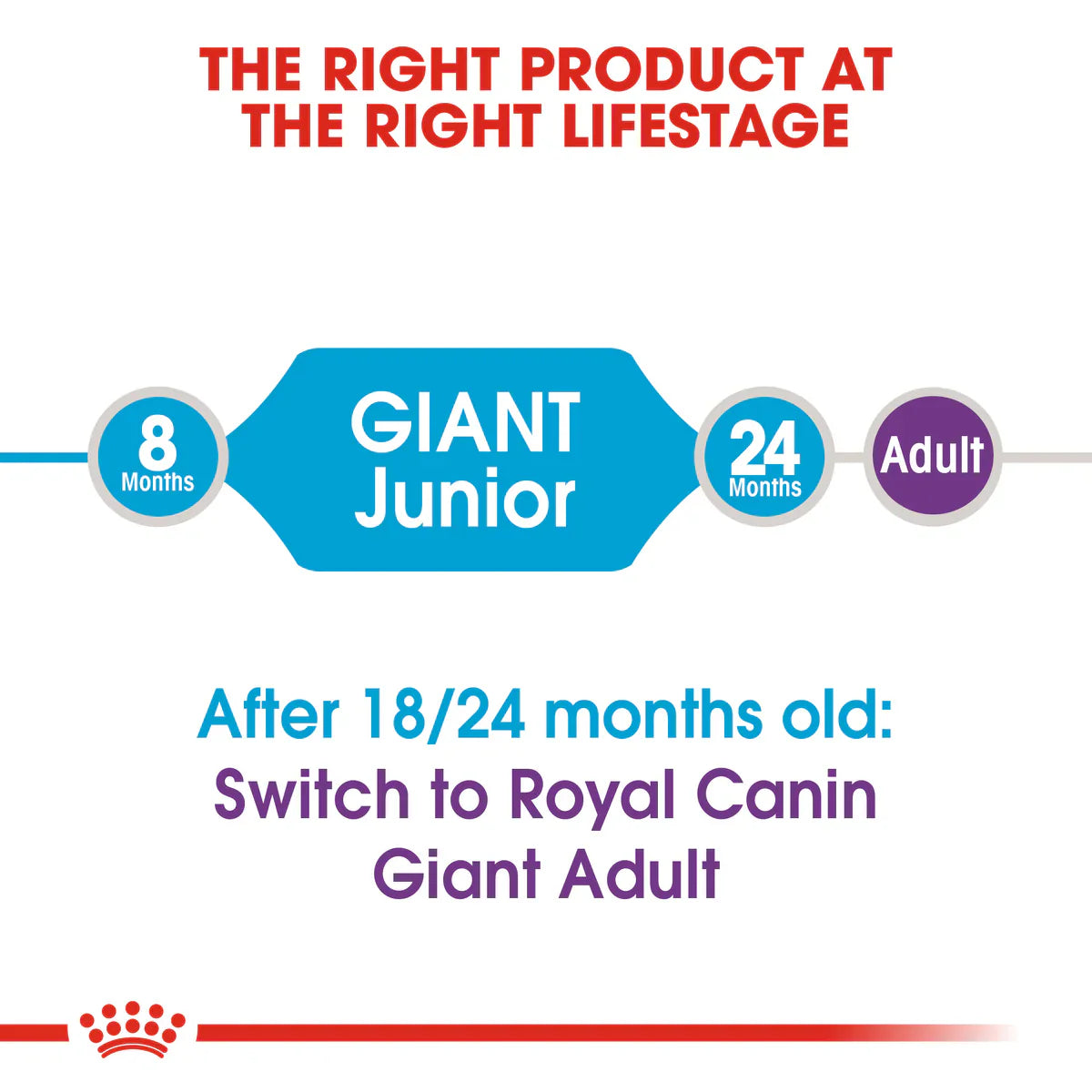 Royal Canin Giant Junior - Dry food for giant dogs - Adults weight from 45 KG and over - from 8 months to 18\24 months