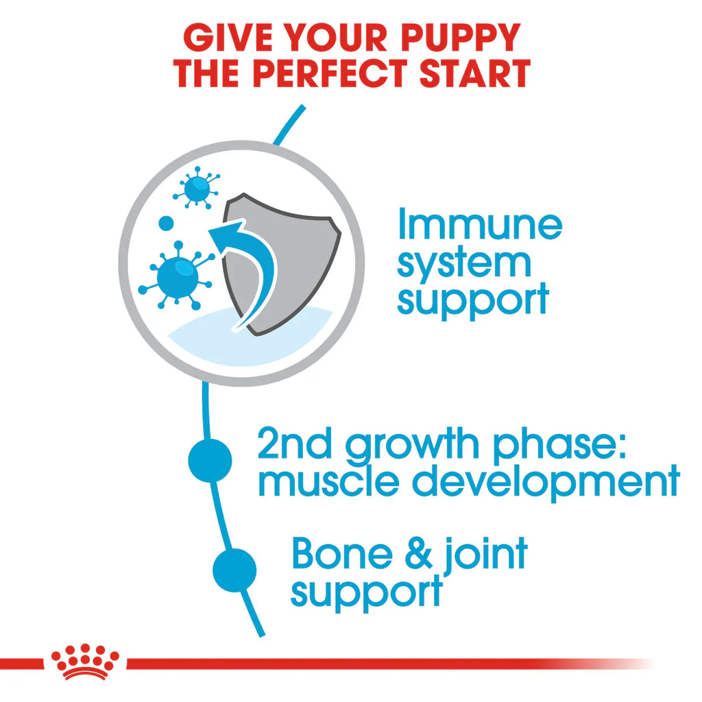 Royal Canin Giant Junior - Dry food for giant dogs - Adults weight from 45 KG and over - from 8 months to 18\24 months