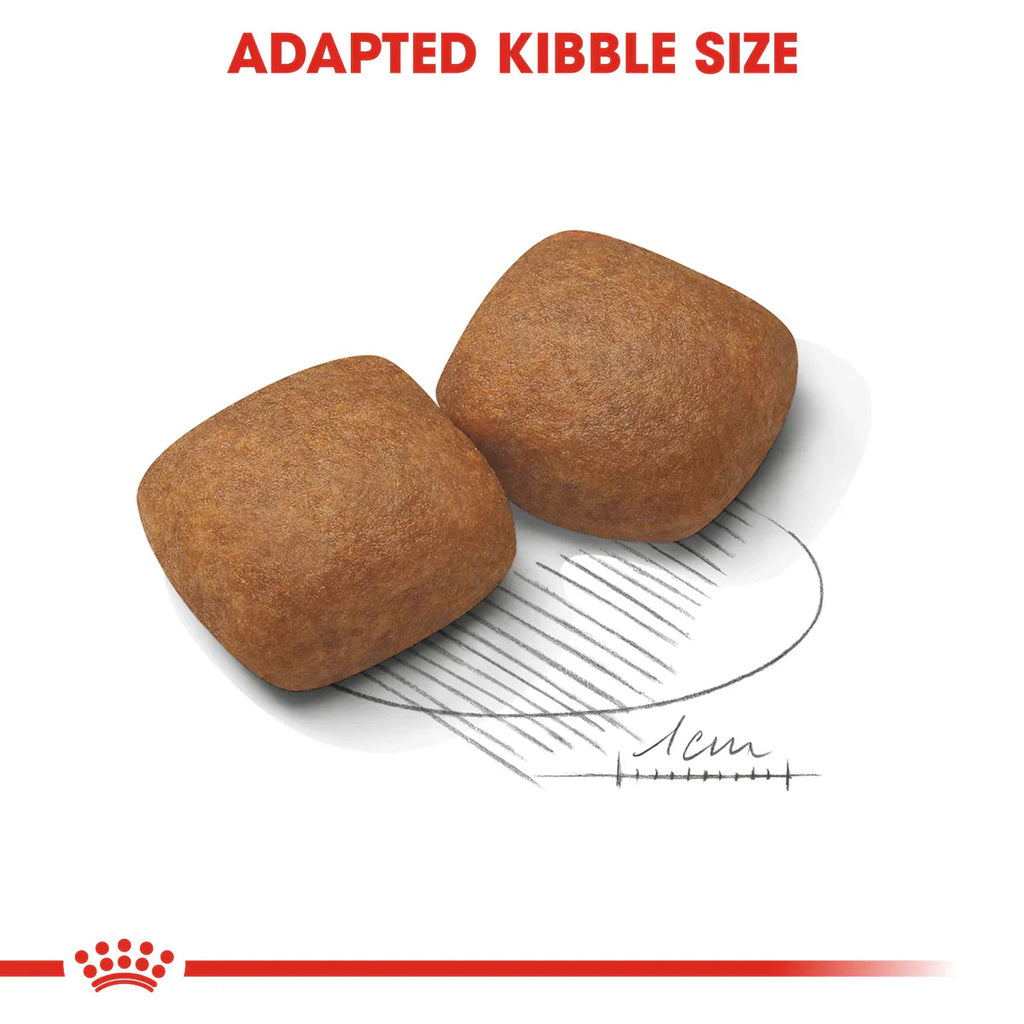 Royal Canin Giant Junior - Dry food for giant dogs - Adults weight from 45 KG and over - from 8 months to 18\24 months