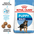 Royal Canin Maxi Puppy - Dry food for large dogs - Adult weight from 26 to 44 KG. From 2 to 15 months