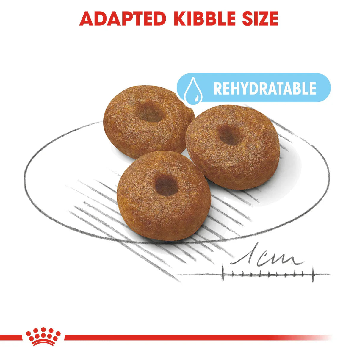 Royal Canin Maxi Starter Mother and Babydog - Dry food for large puppies - Adult weight between 26 and 44 KG. Mother during gestation and lactation - Weaning puppies up to 2 months