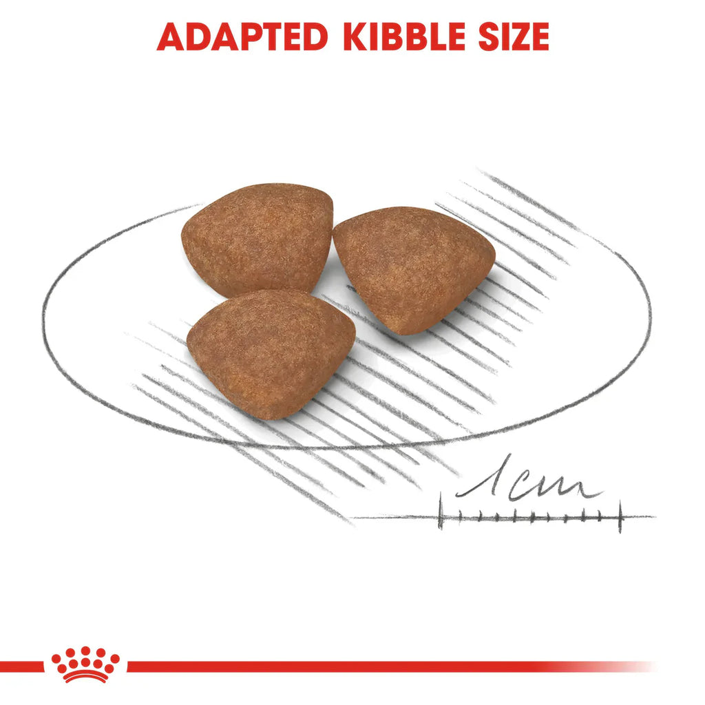 Royal Canin Mini Puppy - Dry food for small dogs - Adult weight up to 10 KG From 2 to 10 months old