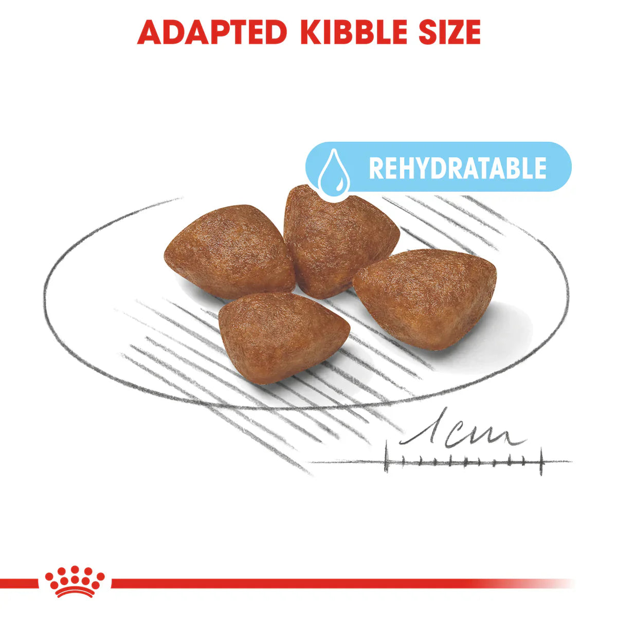 Royal Canin Mini Starter Mother & Babydog (1 KG) - Dry food for mini puppies. Adult weight up to 10 KG - Mother during gestation and lactation - Weaning puppies up to 2 months