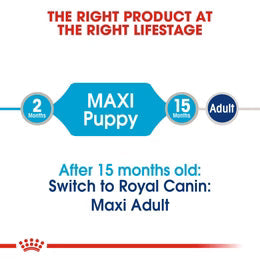 Royal Canin Maxi Puppy in Gravy (140 gm\pouch) - wet food for large dogs - Adult weight from 26 to 44 KG. From 2 to 15 months