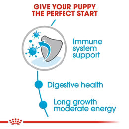 Royal Canin Maxi Puppy in Gravy (140 gm\pouch) - wet food for large dogs - Adult weight from 26 to 44 KG. From 2 to 15 months