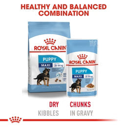 Royal Canin Maxi Puppy in Gravy (140 gm\pouch) - wet food for large dogs - Adult weight from 26 to 44 KG. From 2 to 15 months