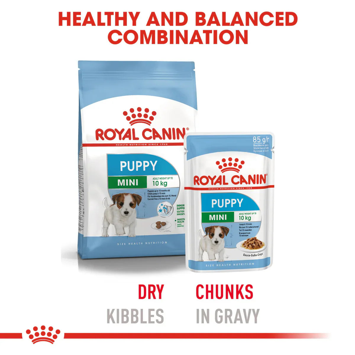 Royal Canin Mini Puppy in Gravy (85 gm\pouch) - wet food for small dogs - Adult weight up to 10 KG From 2 to 10 months old