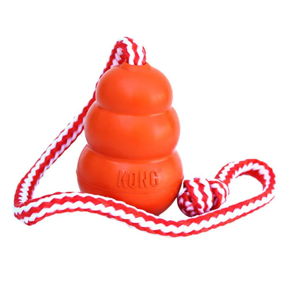 KONG® Aqua