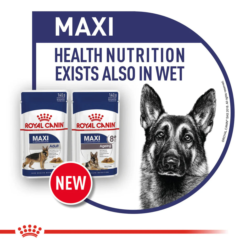 Royal Canin Maxi Adult - Dry food for large dogs from 26 to 44 KG. From 15 months to 5 years old