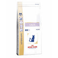 Royal Canin Feline Calm (2 kg) - Dry food for Periods of adaption